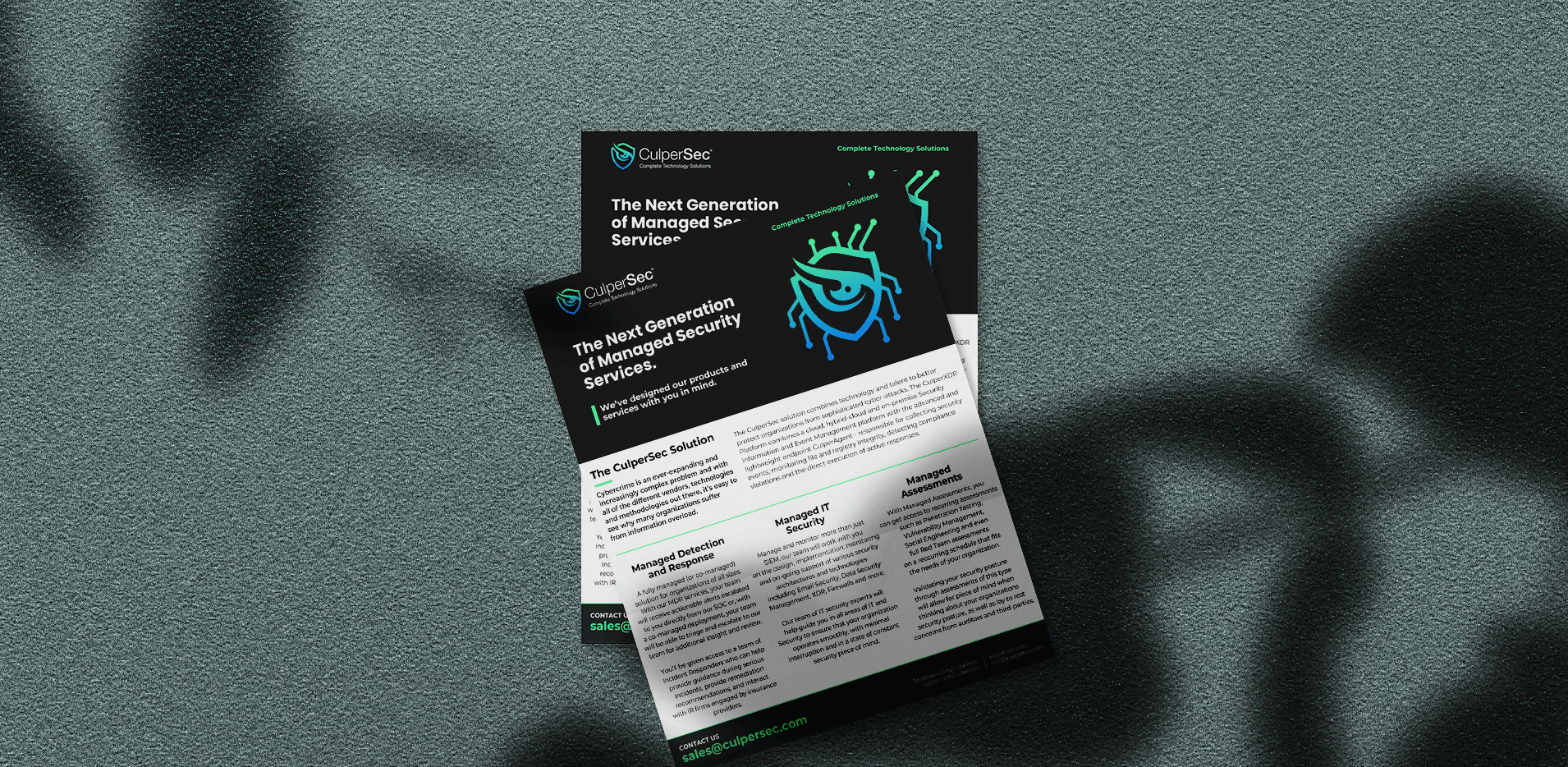 CulperSec security services for modern organizations