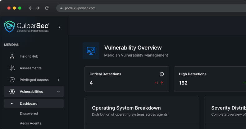 Meridian Vulnerability Management Dashboard